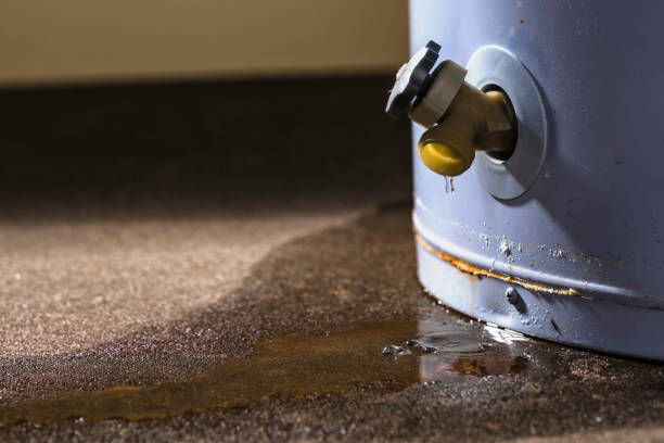Best Flood restoration services  in Adamsville, AL