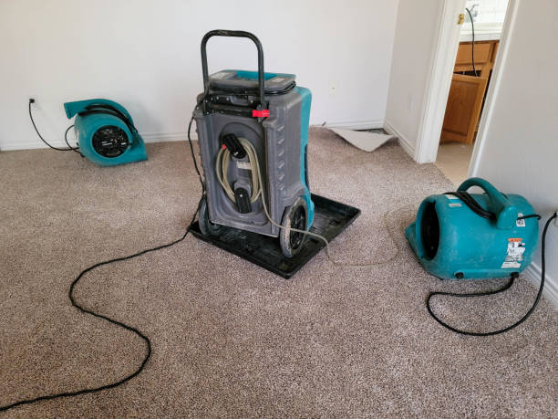 Best Water damage restoration insurance claims  in Adamsville, AL
