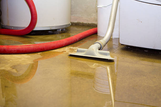 Sewage cleanup and water damage restoration in AL