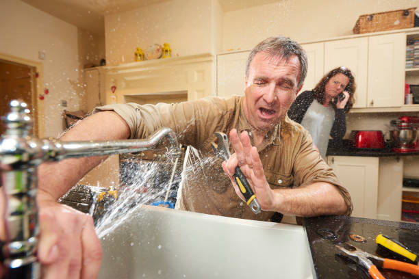 Best Flood damage cleanup  in Adamsville, AL